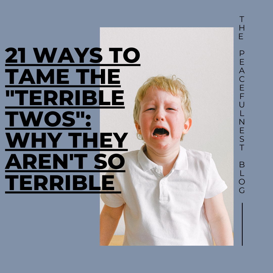 21 Ways to Tame the “Terrible Twos”: Why They Aren’t Terrible and How to Make Them Terrific!