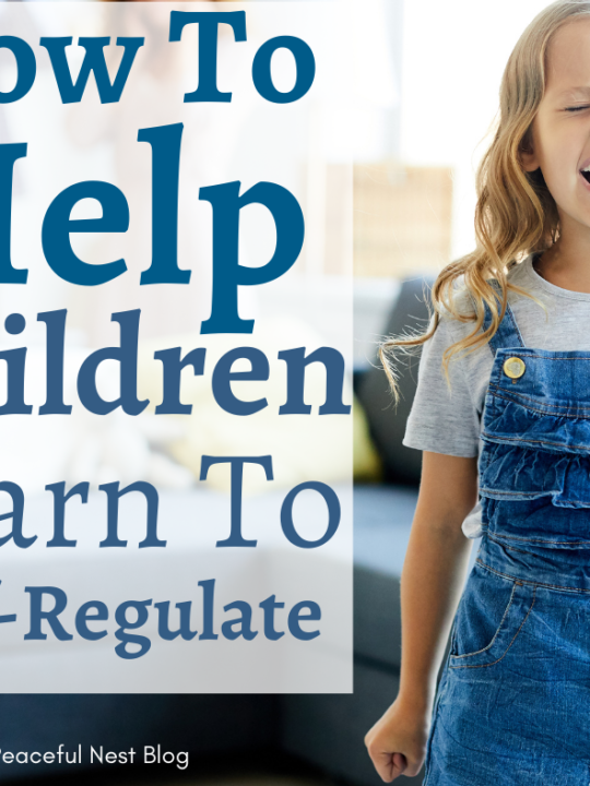 How to Help Your Child Learn Self-Regulation