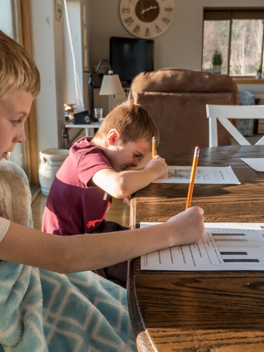 10 Essential Tips for Effective Homeschooling